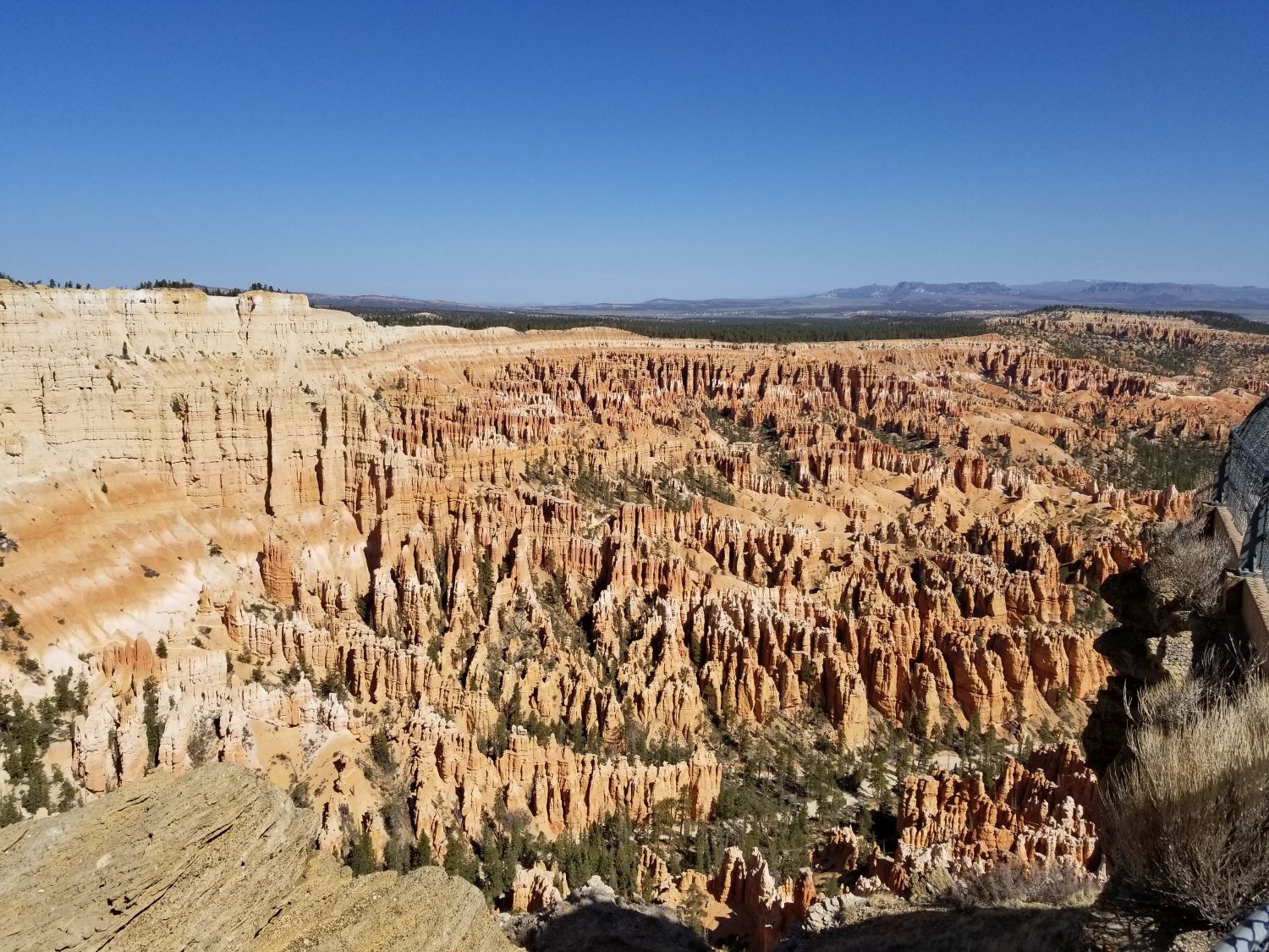 Bryce Point to Inspiration Point 